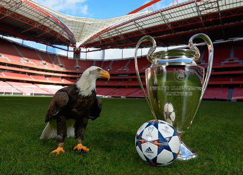 动员最高荣 动员最高荣